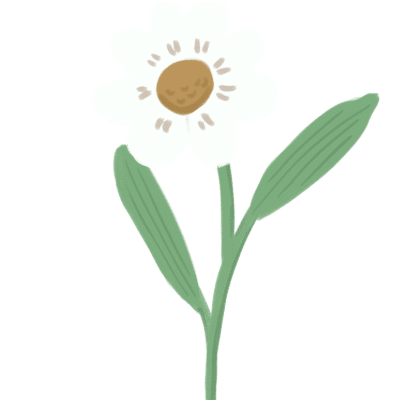 single white flower with stem and leaves