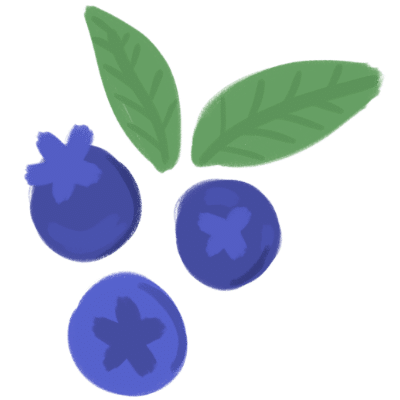 three blueberries with leaves