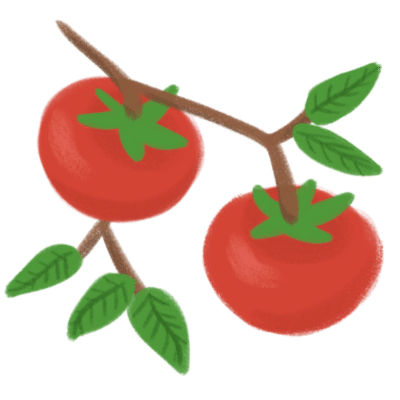 2 tomatoes on a vine